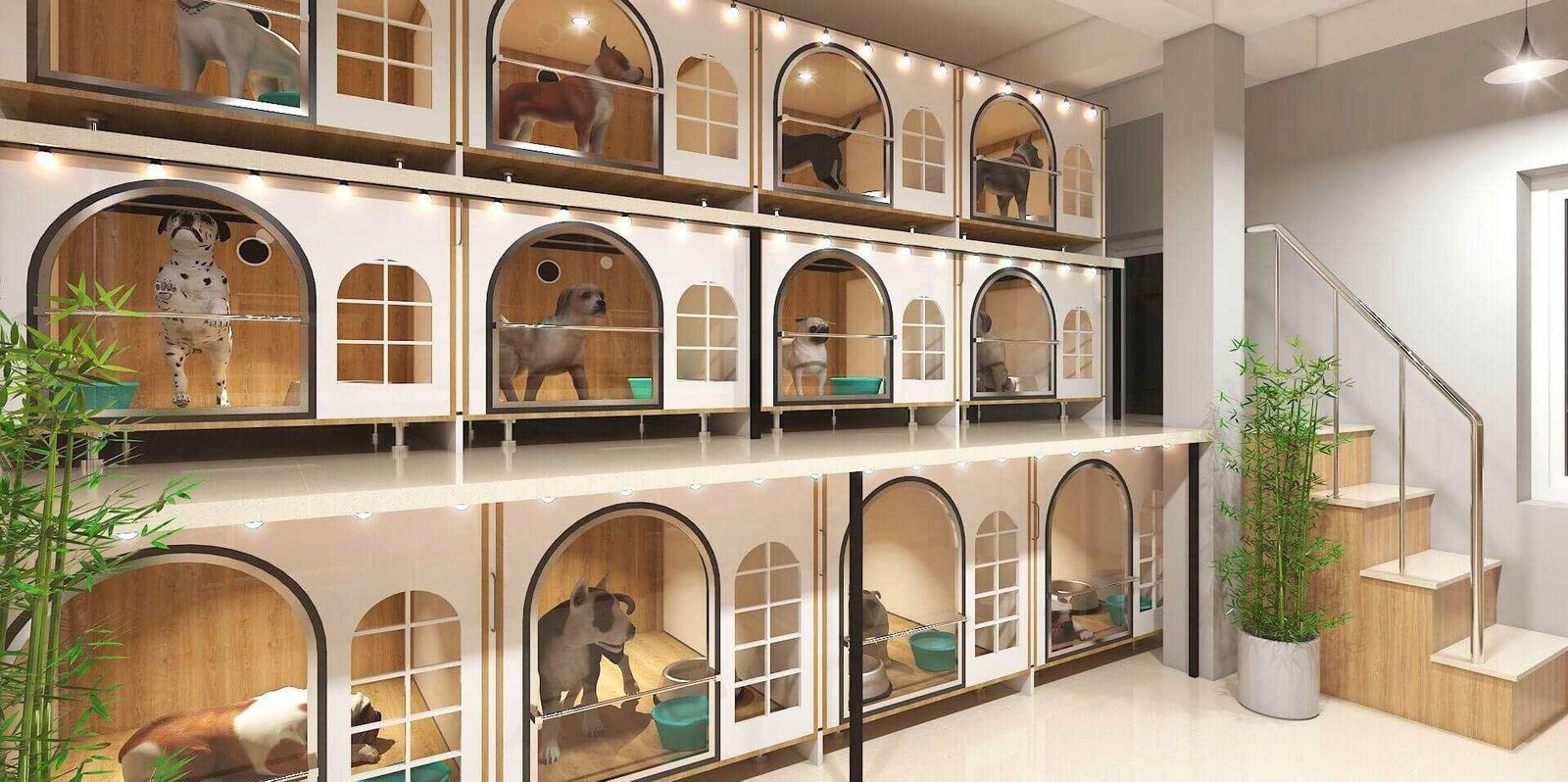 Köpek Kafeslerinde Kilit Nasıl Olmalı
