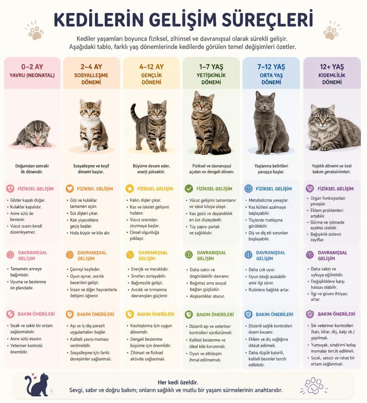 kedi yaşı nasıl hesaplanır? kedinizin yaşını doğru anlamak için ipuçları ve yöntemleri keşfedin. sağlıklı ve mutlu bir kedi bakımı için yaş hesaplama rehberi.