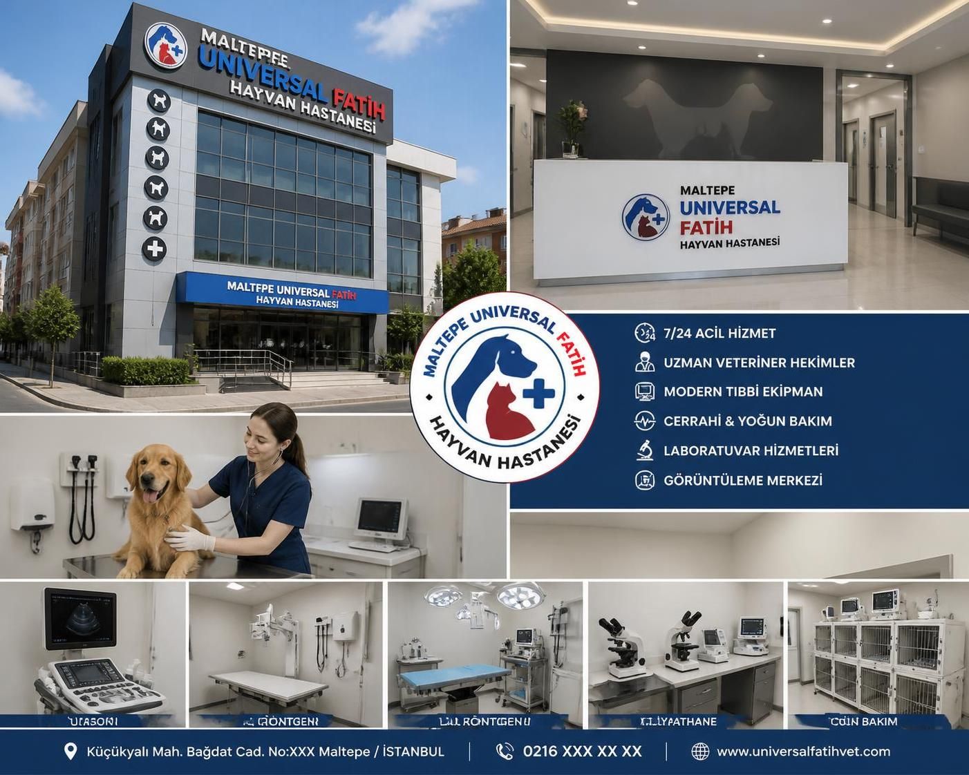 maltepe universal fatih hayvan hastanesi ve küçükyalı veteriner hizmetleri hakkında kapsamlı bilgi edinin. evcil hayvanlarınız için güvenilir sağlık ve bakım çözümleri sunulmaktadır.