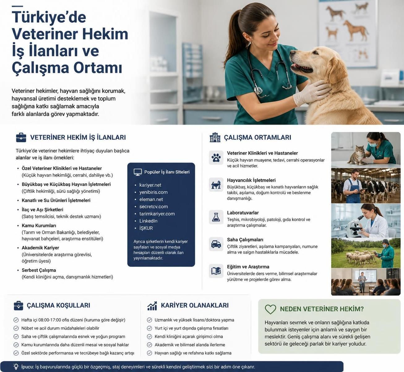 veteriner hekim iş ilanlarını nereden bulacağınızı ve başvuru süreçlerini adım adım öğrenin. en iyi iş fırsatlarına kolayca ulaşmak için rehberimizi keşfedin.