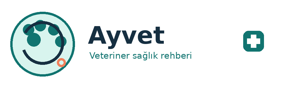 Ayvet
