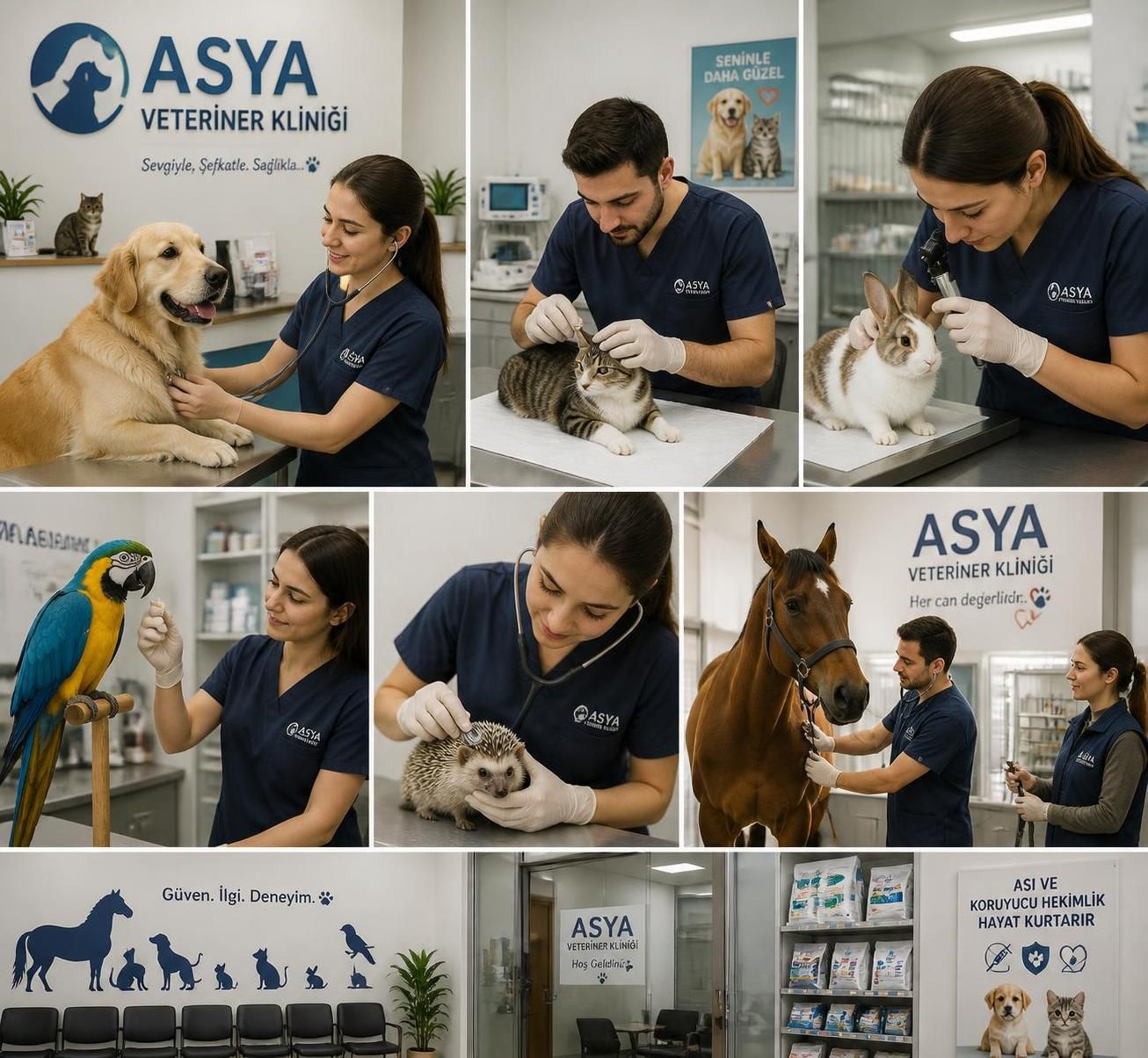 asya veteriner kliniği nedir, hangi hizmetleri sunar? hayvan sağlığı ve bakımı için sunduğu profesyonel veteriner hizmetlerini keşfedin.