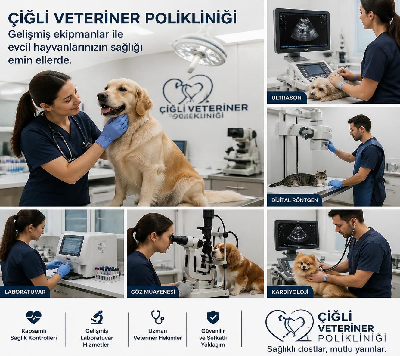 çiğli veteriner polikliniğinde hayvan sağlığı için kapsamlı hizmetler ve uzman bakımı sunulmaktadır. evcil dostlarınızın sağlığı emin ellerde.