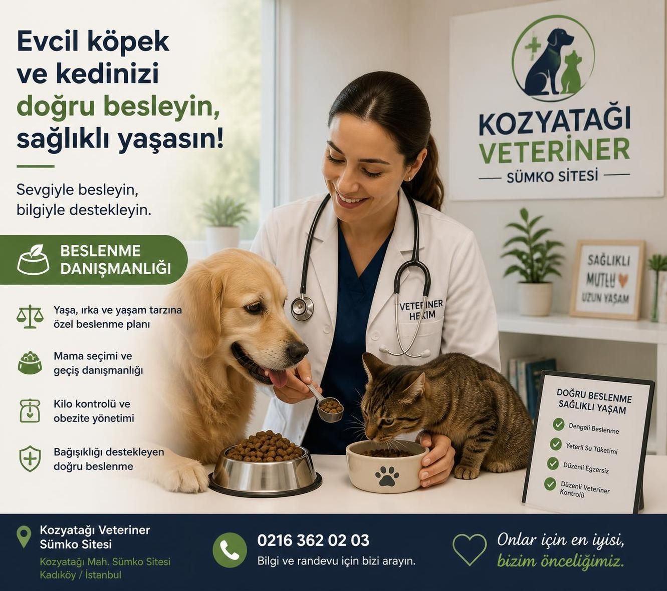 kozyatağı veteriner sümko sitesi hakkında bilmeniz gereken tüm önemli bilgiler ve hizmetler. en iyi veteriner bakımı için doğru adres.