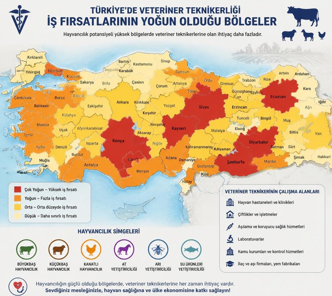 yılında veteriner teknikerliği iş ilanlarını bulmanın en etkili yollarını keşfedin. güncel iş fırsatları, ipuçları ve rehberlerle kariyerinize yön verin.