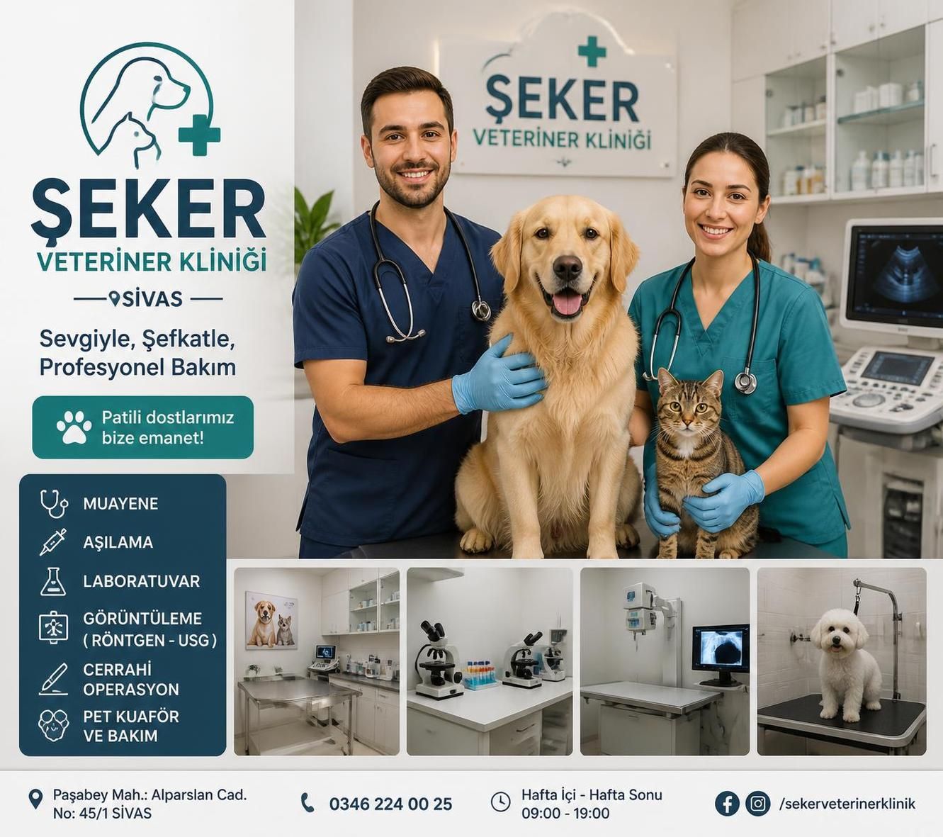 şeker veteriner kliniği ile evcil hayvanlarınızın sağlığını koruyun ve onlara en iyi veteriner bakımını sağlayın. uzman kadromuzla güvenilir, sevgi dolu hizmet sunuyoruz.