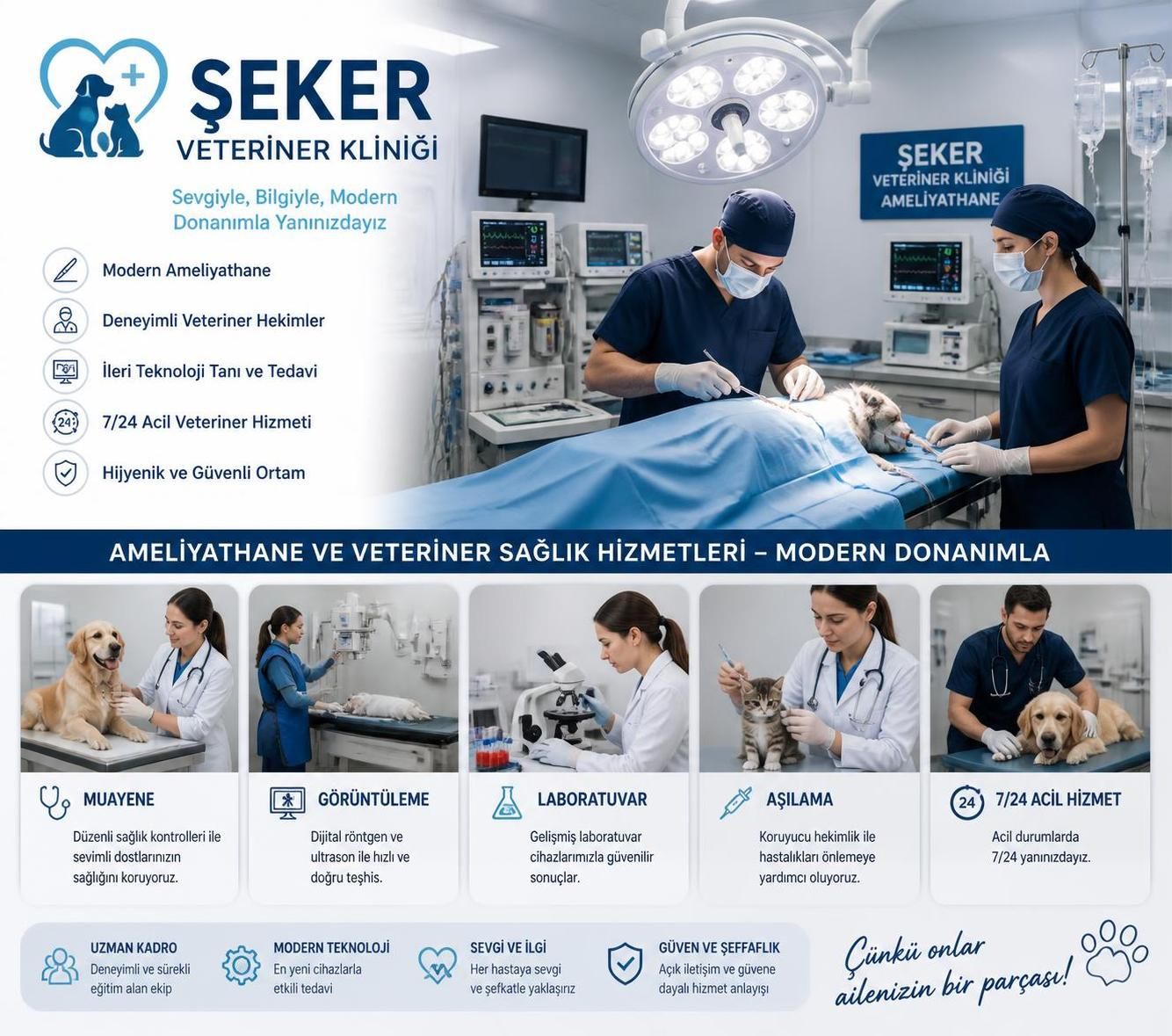 şeker veteriner kliniği ile evcil hayvanlarınızın sağlığını en iyi şekilde koruyun. profesyonel veteriner hizmetleri ve güvenilir bakım için bize güvenin.